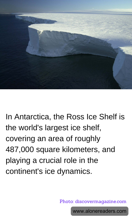 In Antarctica, the Ross Ice Shelf is the world's largest ice shelf, covering an area of roughly 487,000 square kilometers, and playing a crucial role in the continent's ice dynamics.