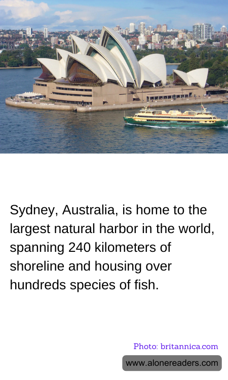 Sydney, Australia, is home to the largest natural harbor in the world, spanning 240 kilometers of shoreline and housing over hundreds species of fish.