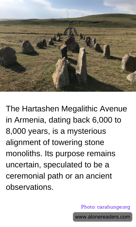 General Knowledge Learning Cards