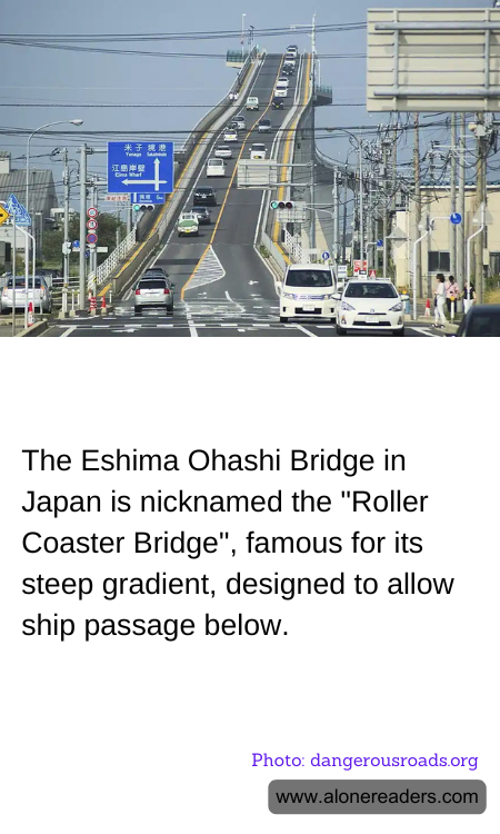 The Eshima Ohashi Bridge in Japan is nicknamed the "Roller Coaster Bridge", famous for its steep gradient, designed to allow ship passage below.
