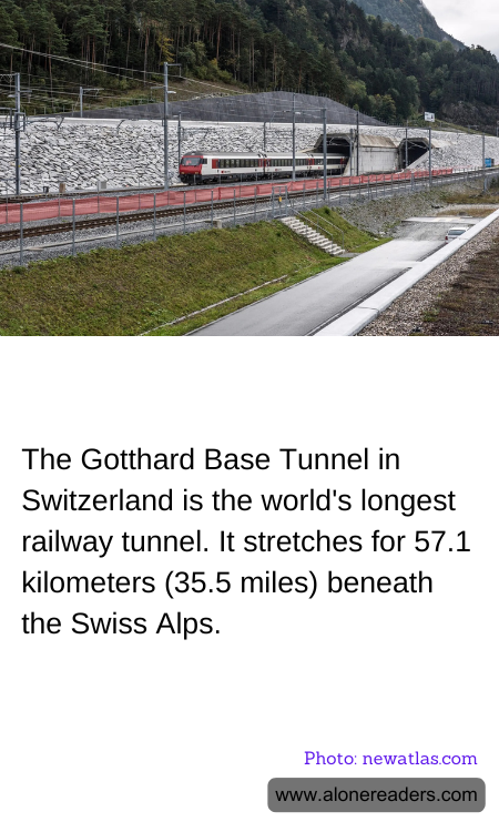 General Knowledge Learning Cards