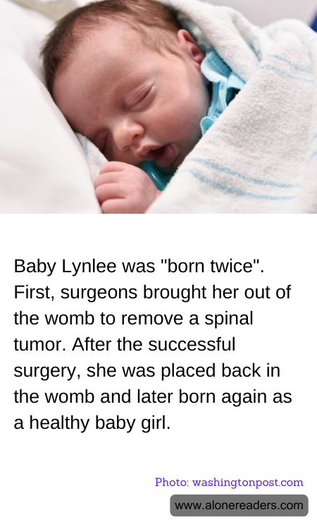 General Knowledge Learning Cards