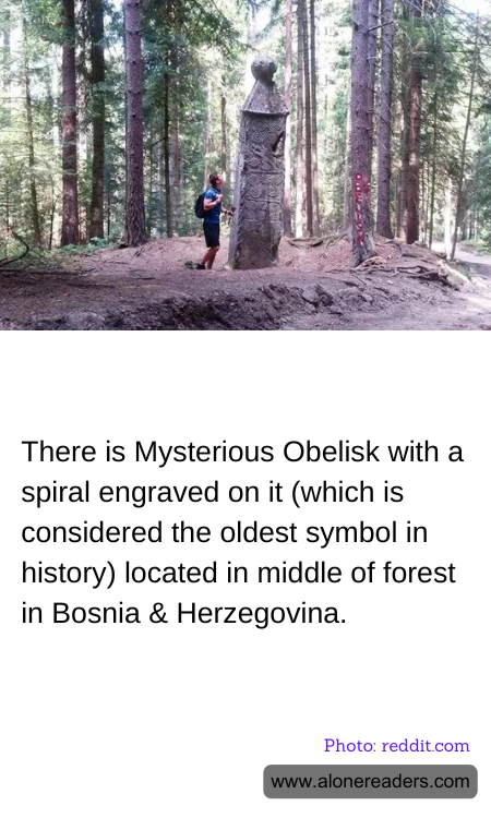 General Knowledge Learning Cards