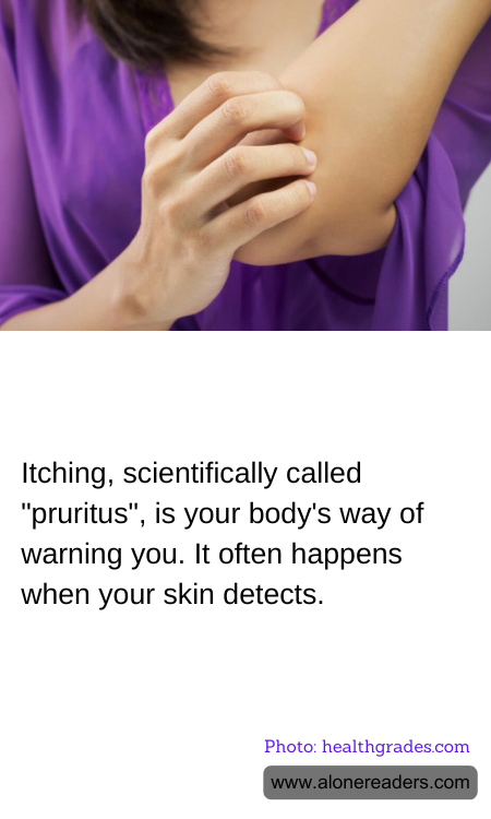 General Knowledge Learning Cards