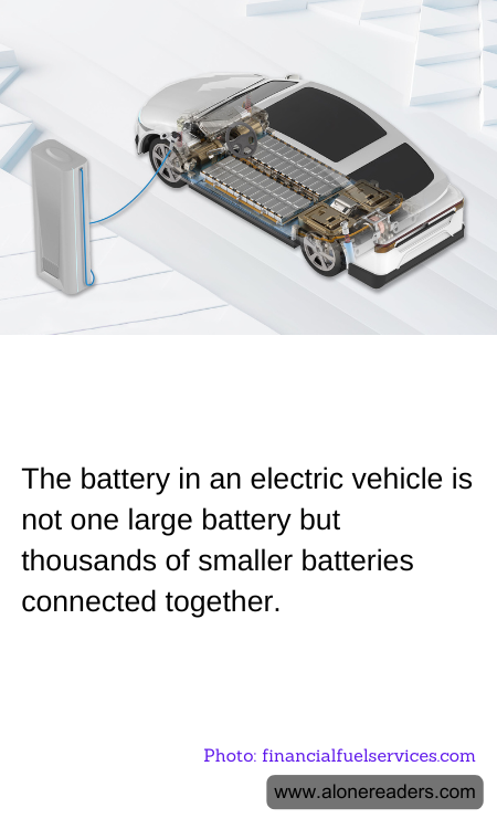 General Knowledge Learning Cards