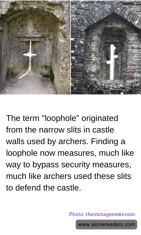 General Knowledge Learning Cards