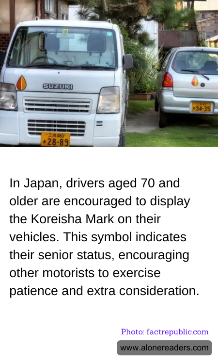 General Knowledge Learning Cards