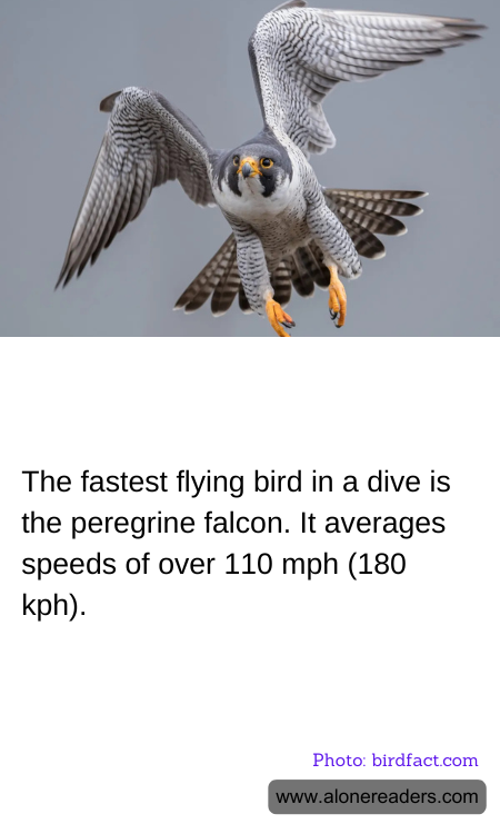 The fastest flying bird in a dive is the peregrine falcon. It averages speeds of over 110 mph (180 kph).