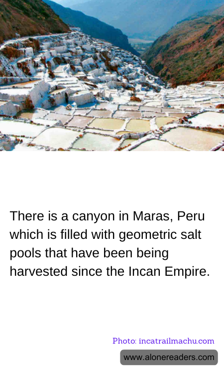 General Knowledge Learning Cards