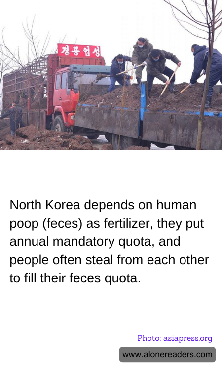 North Korea depends on human poop (feces) as fertilizer, they put annual mandatory quota, and people often steal from each other to fill their feces quota.