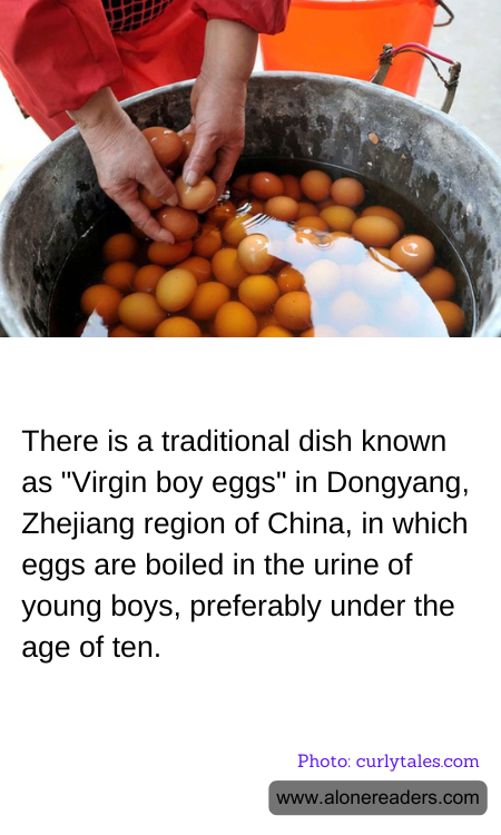 General Knowledge Learning Cards