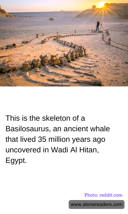 General Knowledge Learning Cards