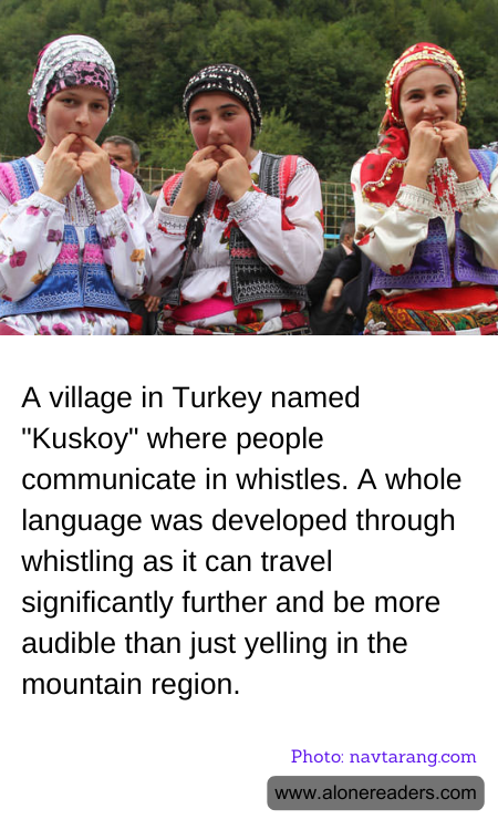 General Knowledge Learning Cards