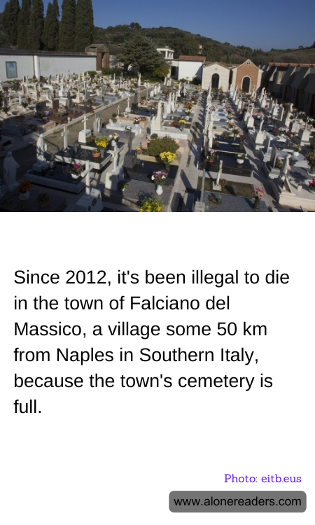 General Knowledge Learning Cards