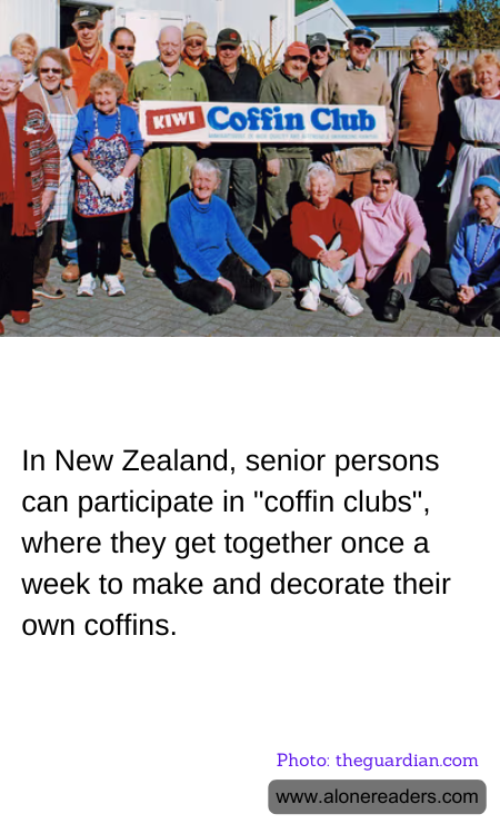 General Knowledge Learning Cards