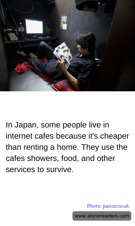 General Knowledge Learning Cards