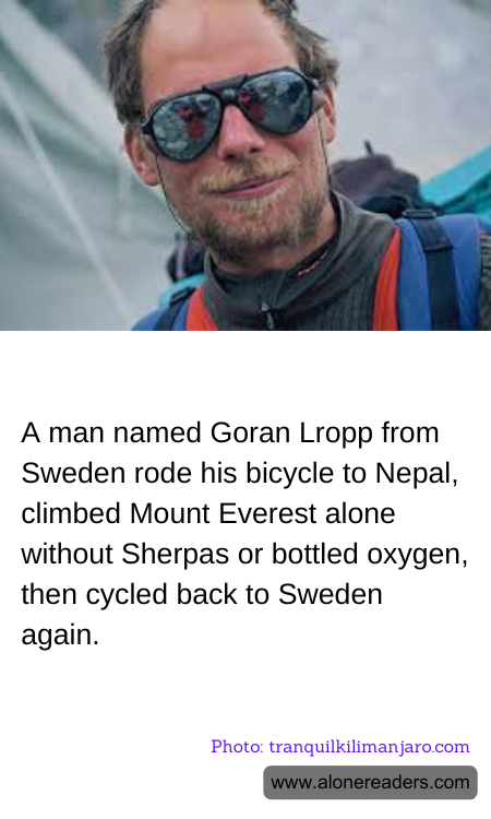 General Knowledge Learning Cards