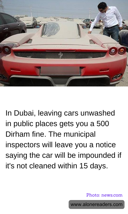 General Knowledge Learning Cards