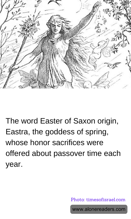 General Knowledge Learning Cards