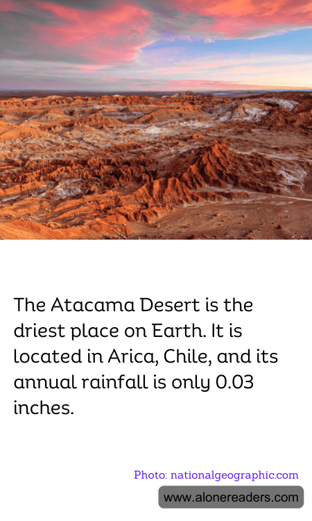 General Knowledge Learning Cards