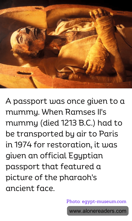 General Knowledge Learning Cards