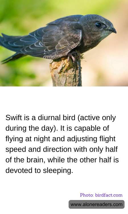 General Knowledge Learning Cards