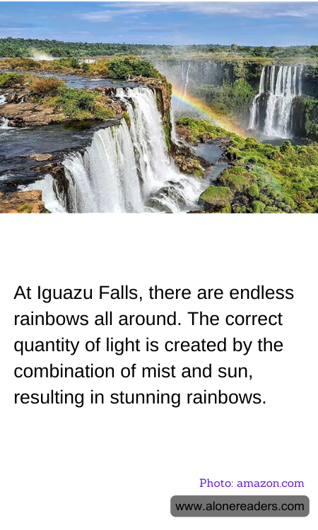 General Knowledge Learning Cards