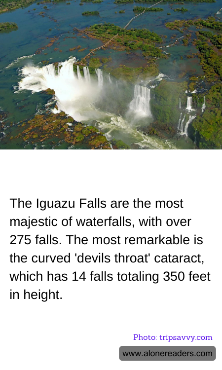 General Knowledge Learning Cards