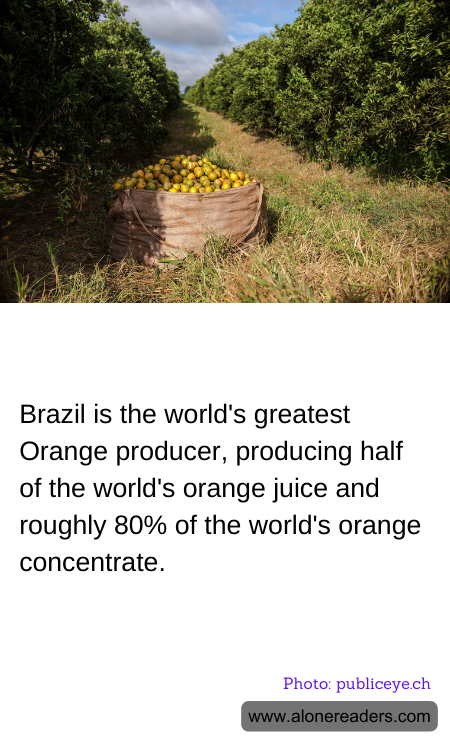 General Knowledge Learning Cards