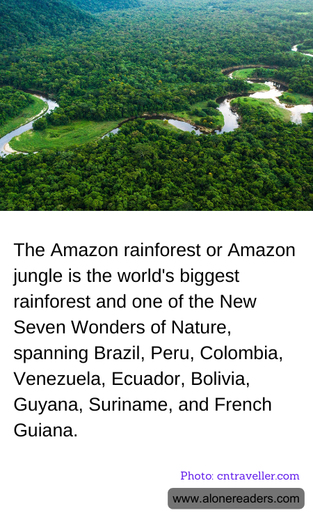 General Knowledge Learning Cards