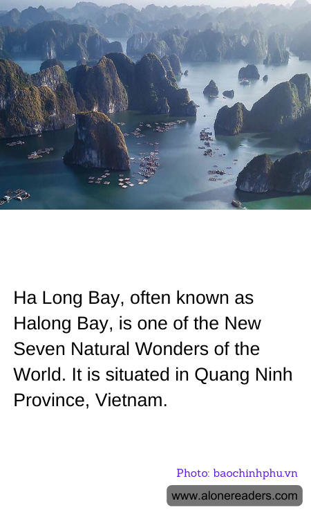 General Knowledge Learning Cards