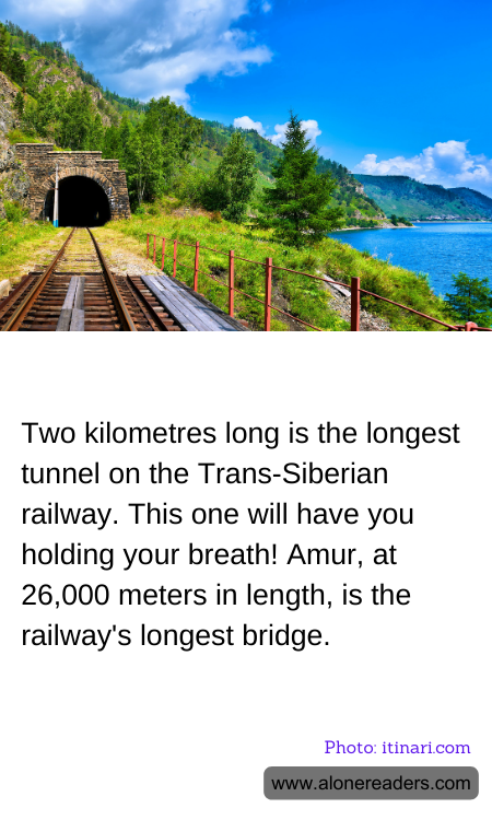 General Knowledge Learning Cards