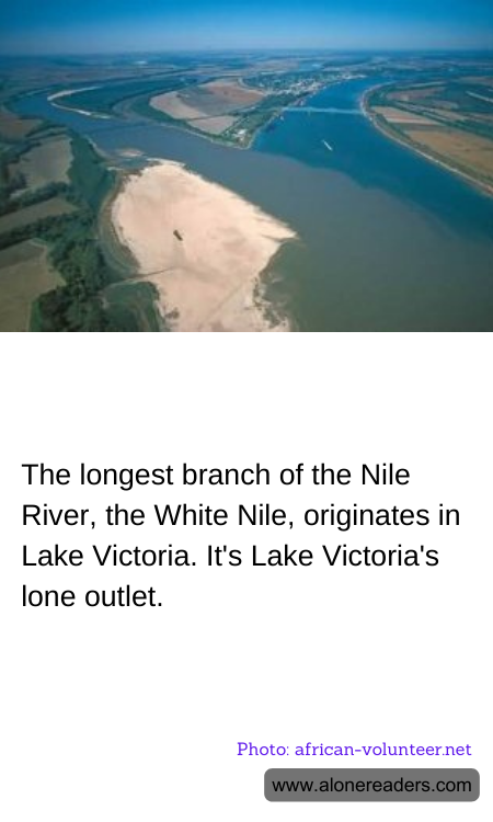 The longest branch of the Nile River, the White Nile, originates in Lake Victoria. It's Lake Victoria's lone outlet.