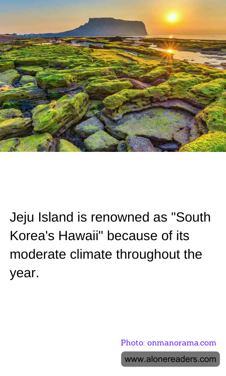 General Knowledge Learning Cards