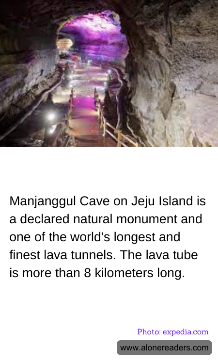 General Knowledge Learning Cards