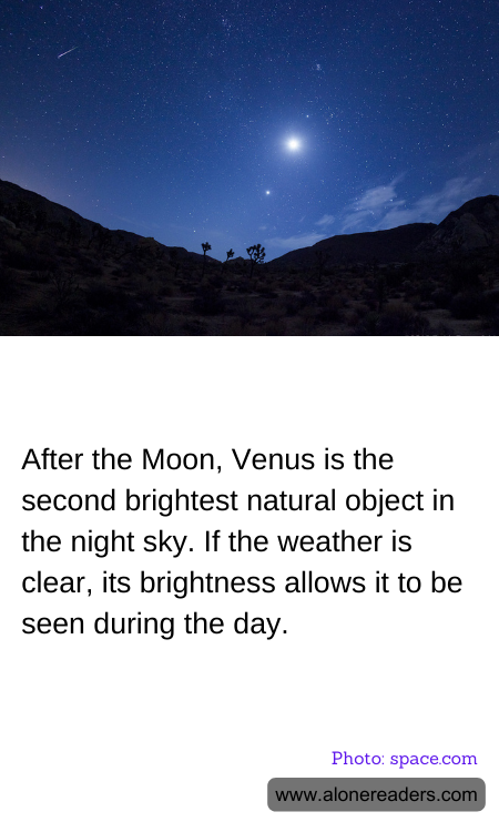 General Knowledge Learning Cards