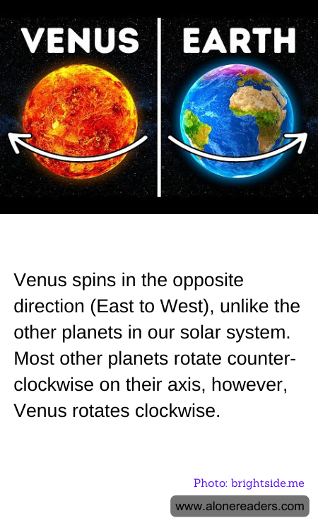 General Knowledge Learning Cards