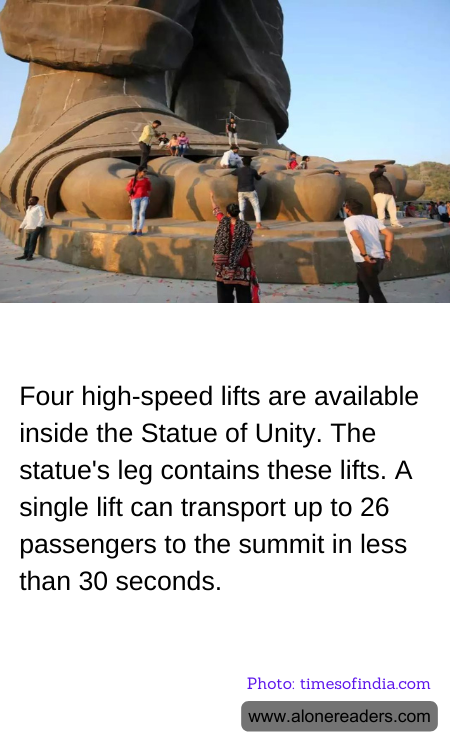 Four high-speed lifts are available inside the Statue of Unity. The statue's leg contains these lifts. A single lift can transport up to 26 passengers to the summit in less than 30 seconds.