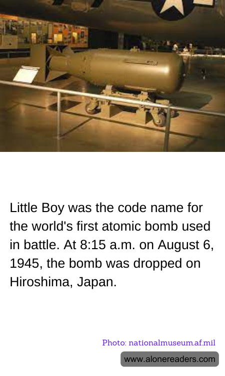 General Knowledge Learning Cards