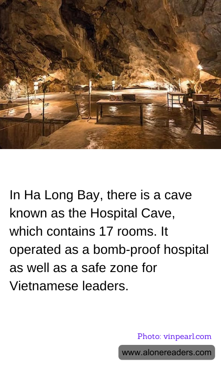 General Knowledge Learning Cards