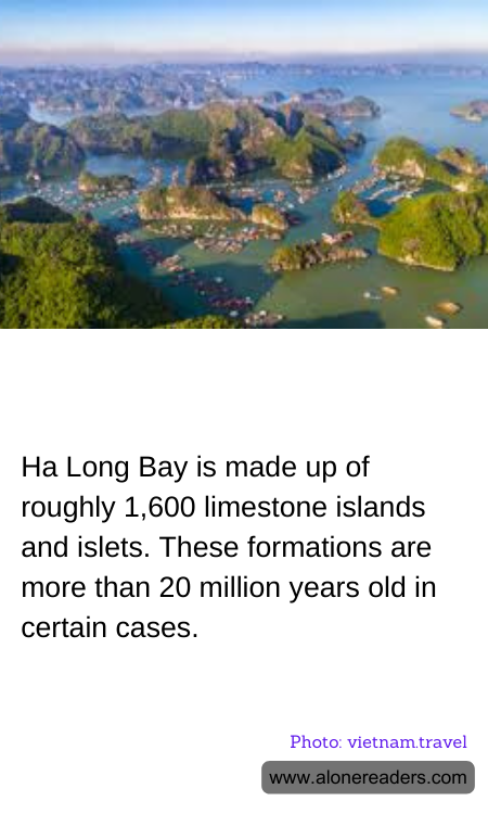 General Knowledge Learning Cards