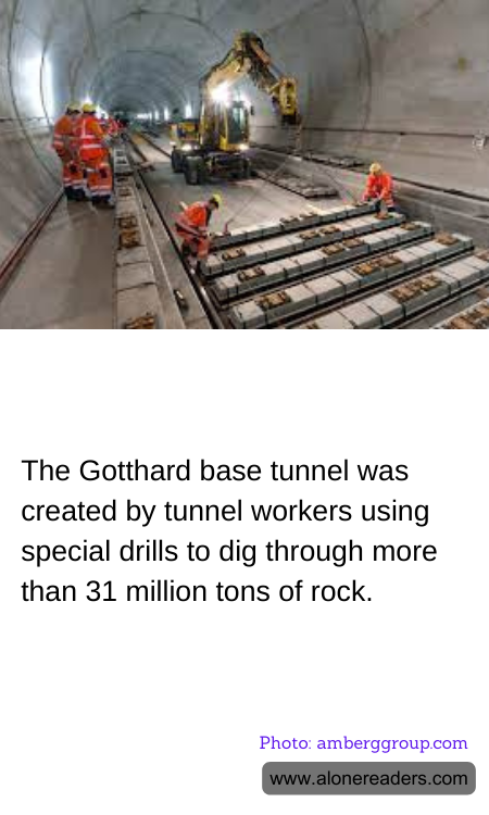 General Knowledge Learning Cards