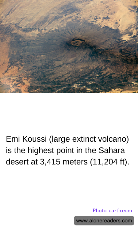 General Knowledge Learning Cards