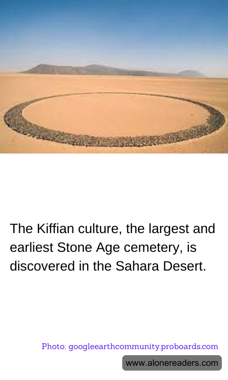 General Knowledge Learning Cards