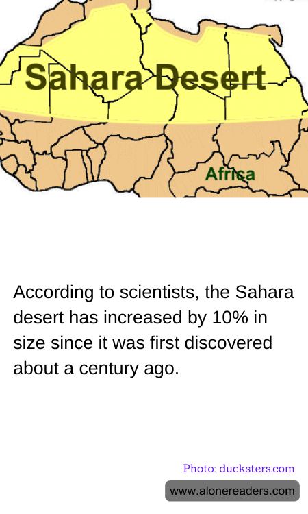 General Knowledge Learning Cards