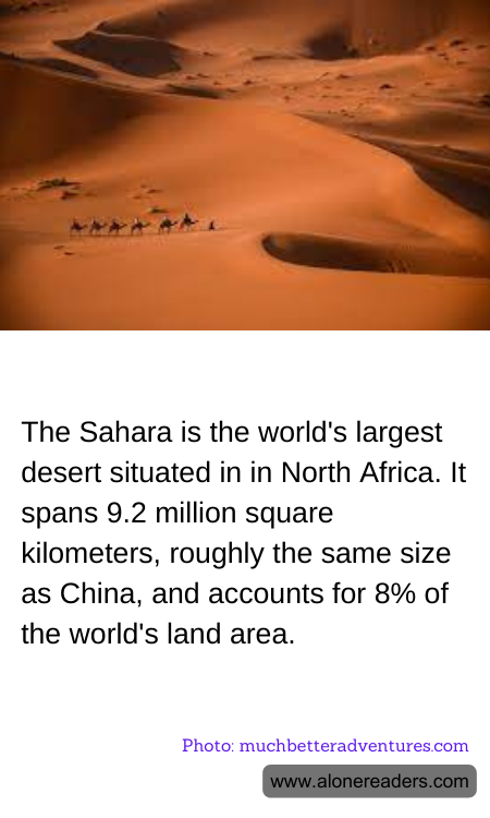 General Knowledge Learning Cards