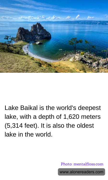 General Knowledge Learning Cards