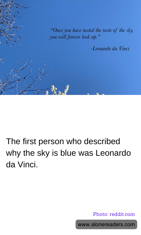 The first person who described why the sky is blue was Leonardo da Vinci.