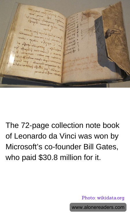 General Knowledge Learning Cards