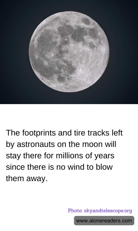 General Knowledge Learning Cards